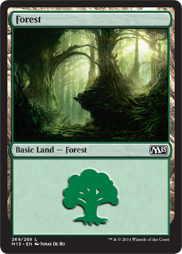Forest 1