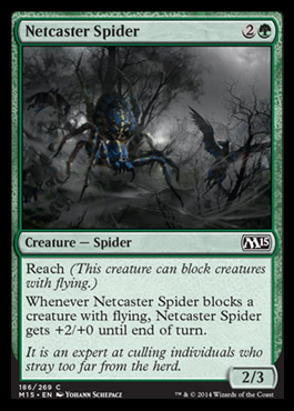 netcaster spider