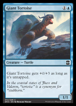 Giant Tortoise